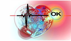 Como Medir a frequência cardiaca